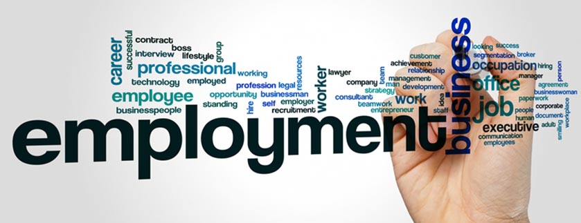 employment banner