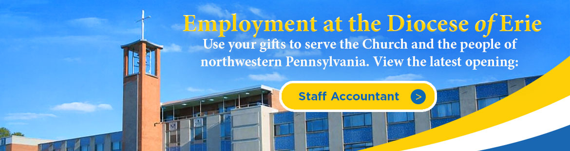 Dio employment 