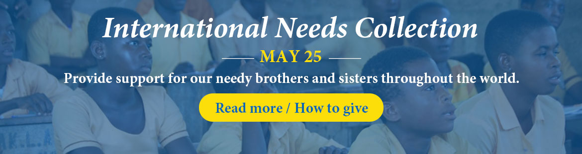 International Needs Collection