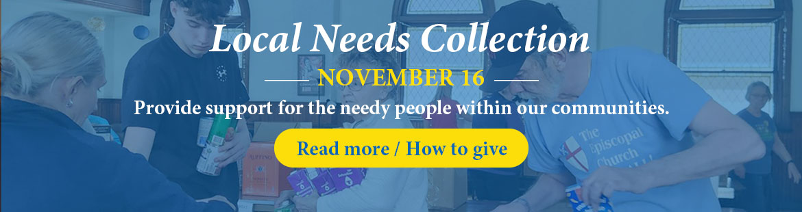 Local Needs Collection 