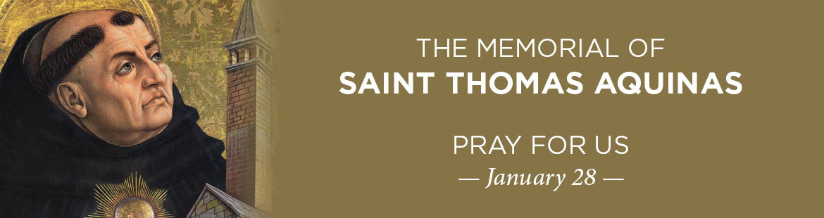Memorial of St. Thomas Aquinas 