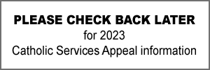CSA logo button