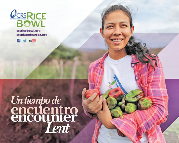 Image promoting the Rice Bowl