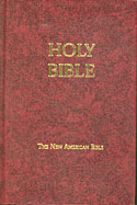 holy bible