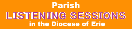 Parish Listening Sessions in the Diocese of Erie