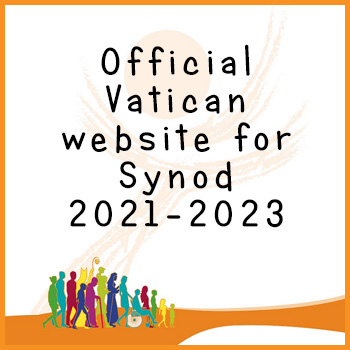 official synod website