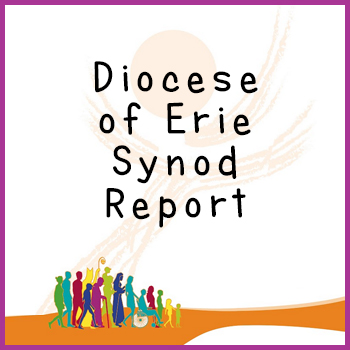 Diocese of Erie Synod report