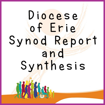 Diocese of Erie Synod report