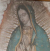 CNS-POPE-GUADALUPE_100px.jpg