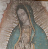CNS-POPE-GUADALUPE_100px.jpg
