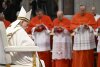 NewCardinal3.JPG