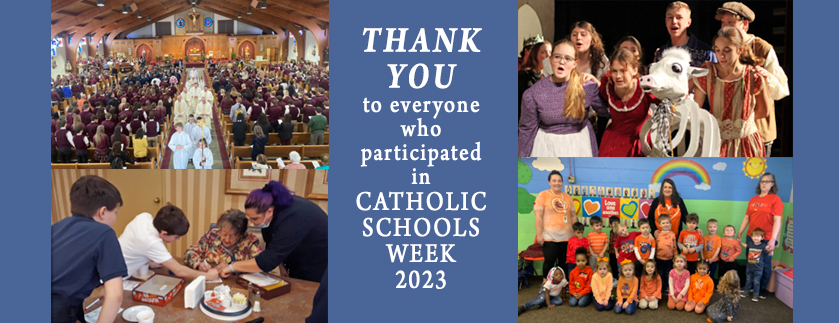 CSW thank you